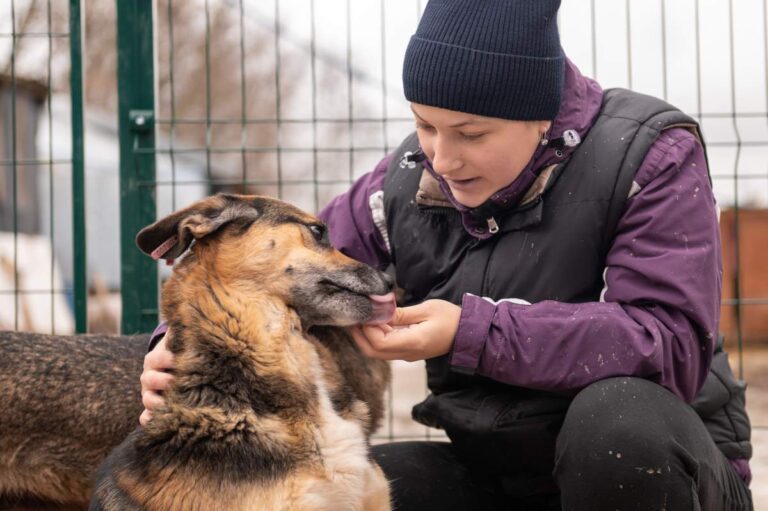 A staff member interacting with several dogs in a clean indoor play area filled with toys and beds.